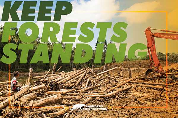 kfs-sticker-landing-postcard-front1