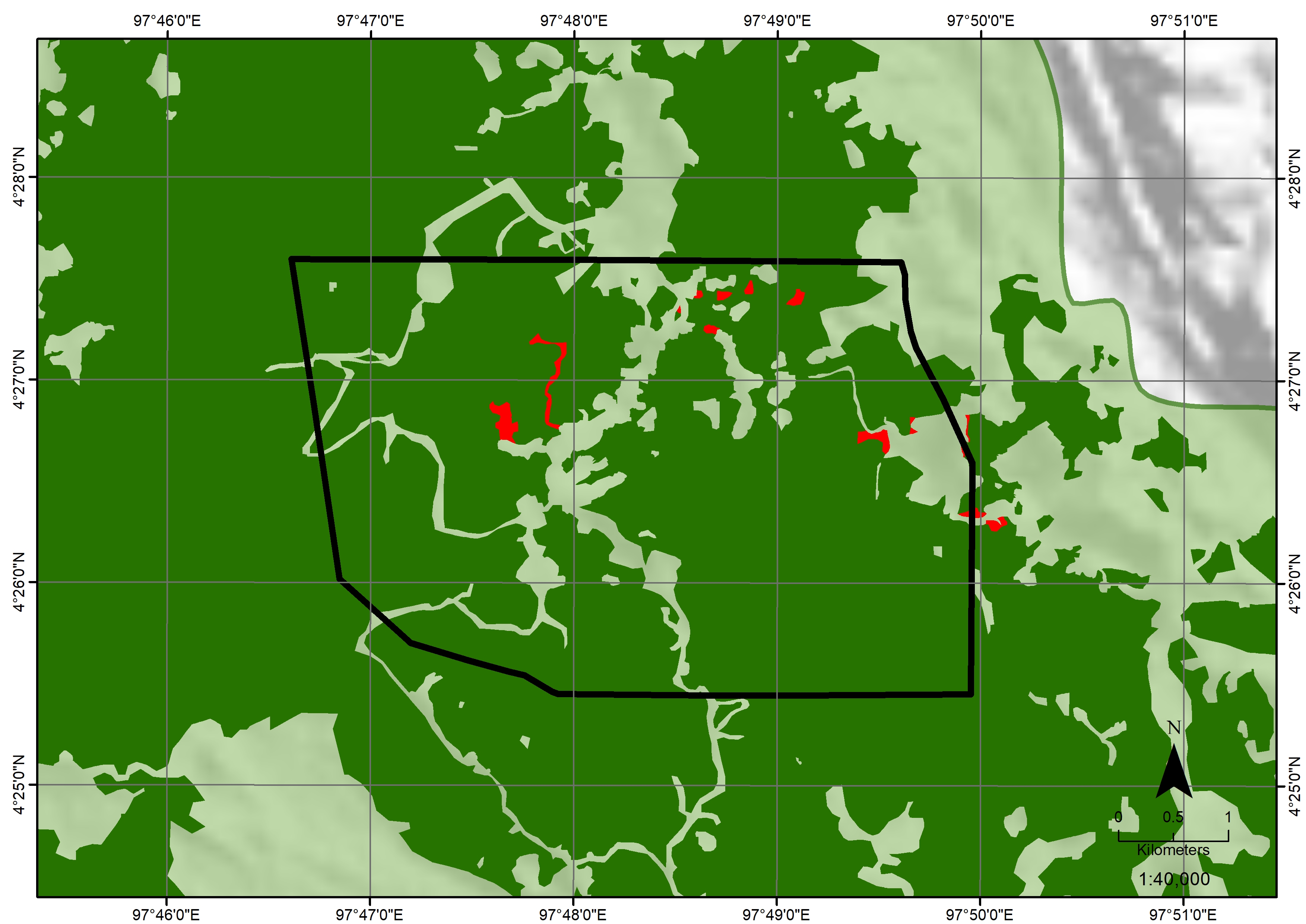 Satellite monitoring shows forest loss between September and October 2018