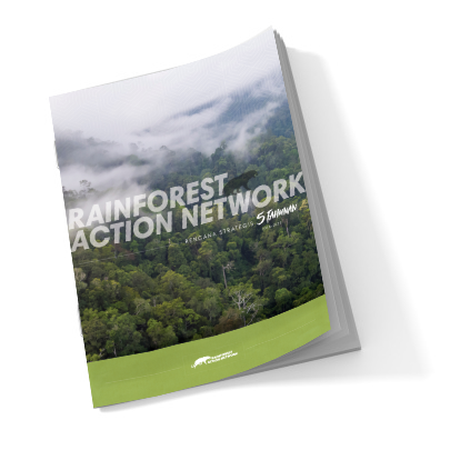 Fact Sheet - Rainforest Animals - Rainforest Action Network