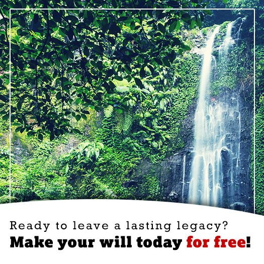Make your will today for free!
