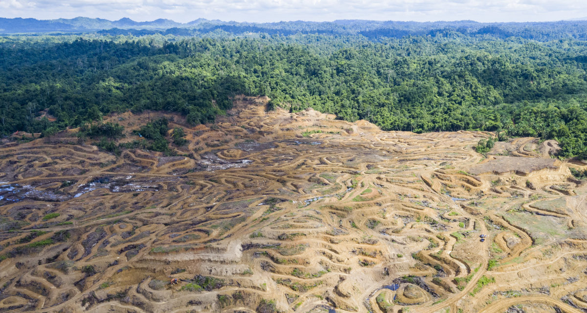 Aerial image of critically important lowland rainforests inside and adjacent to PTPN I Blang Tualang’s palm oil concession in need of protection. October 2018.