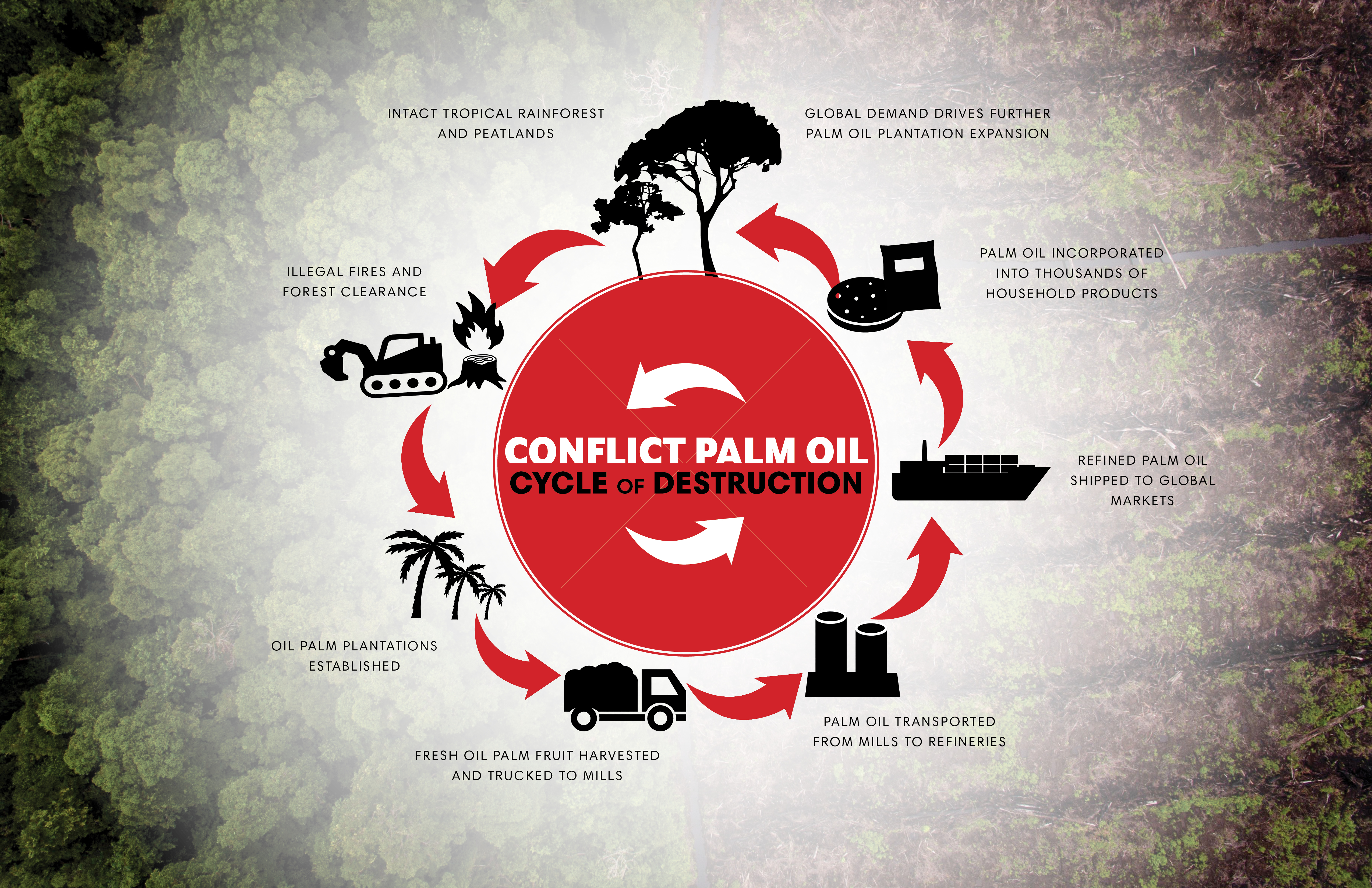 Conflict Palm Oil Cycle of Destruction