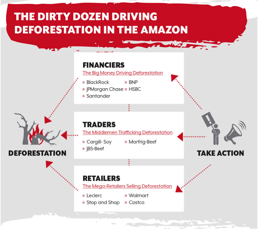 Dirty Dozen Driving Deforestation in the Amazon