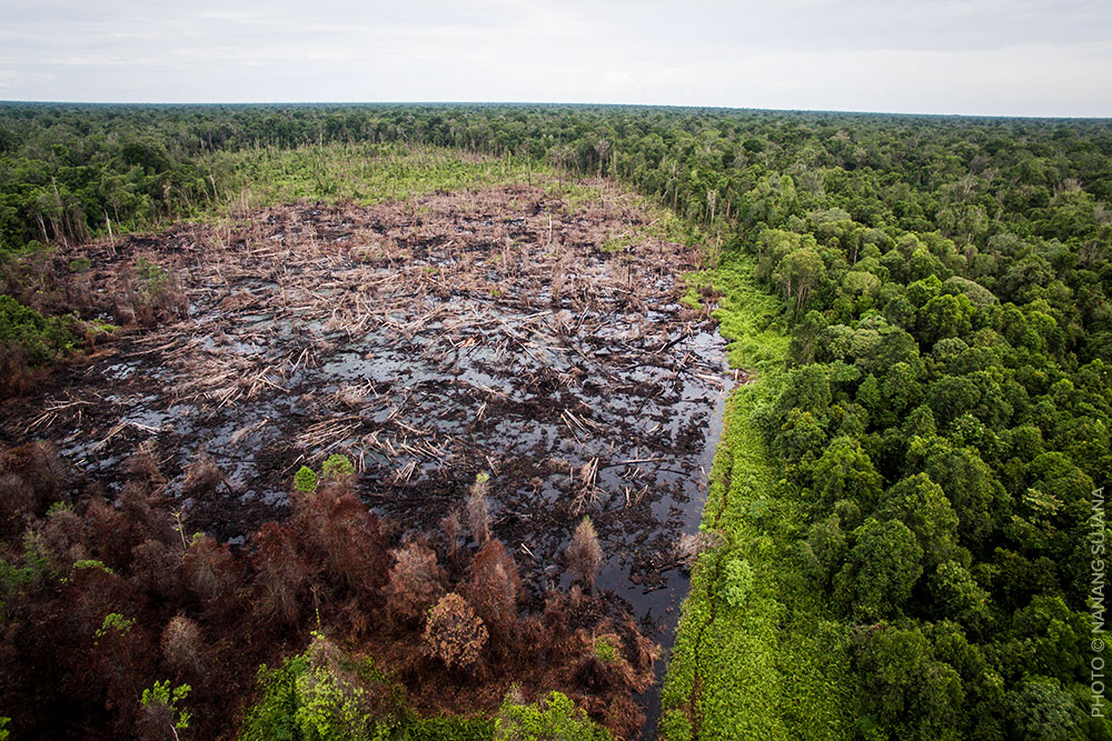 Degraded peatland