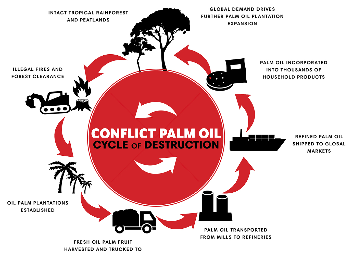 Cycle of Conflict Palm Oil's Destruction