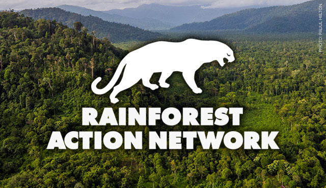 florida Archives - Rainforest Action Network