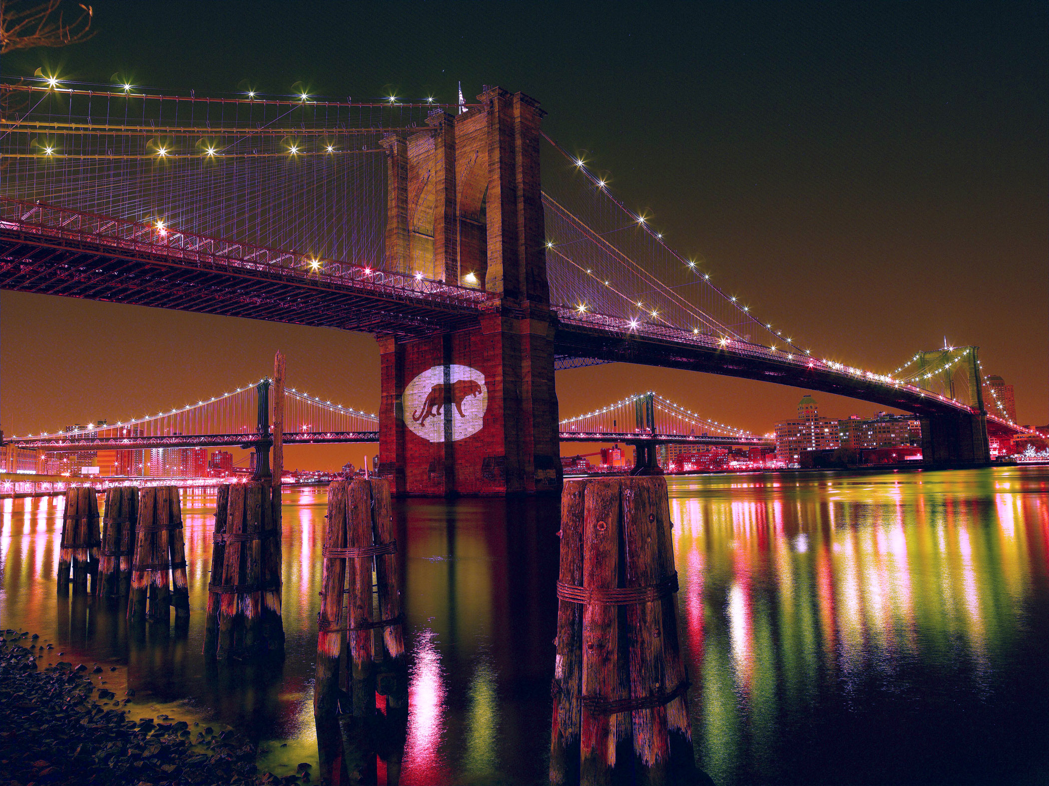 RAN panther logo projected onto BK bridge