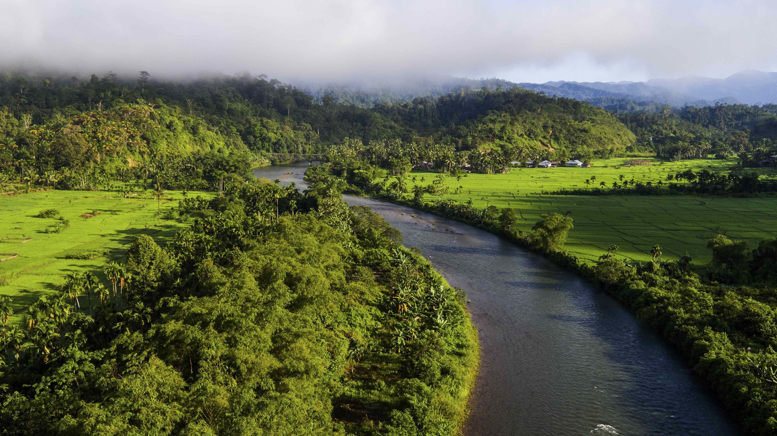 case study of amazon forest fire