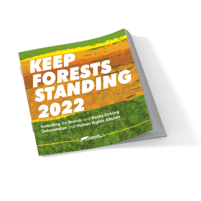 Keep Forests Standing Scorecard 2022