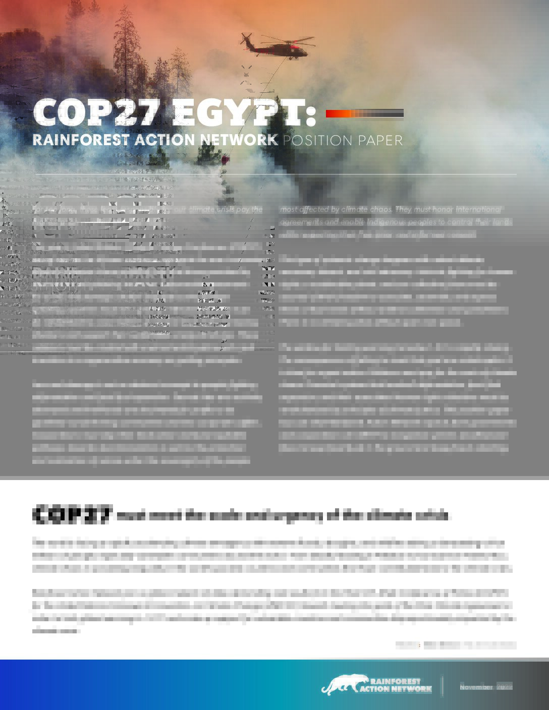 RAN COP 27 Position Paper