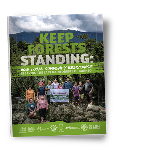 Keep Forests Standing: How Local Community Resistance is Saving the Last Rainforests of Borneo