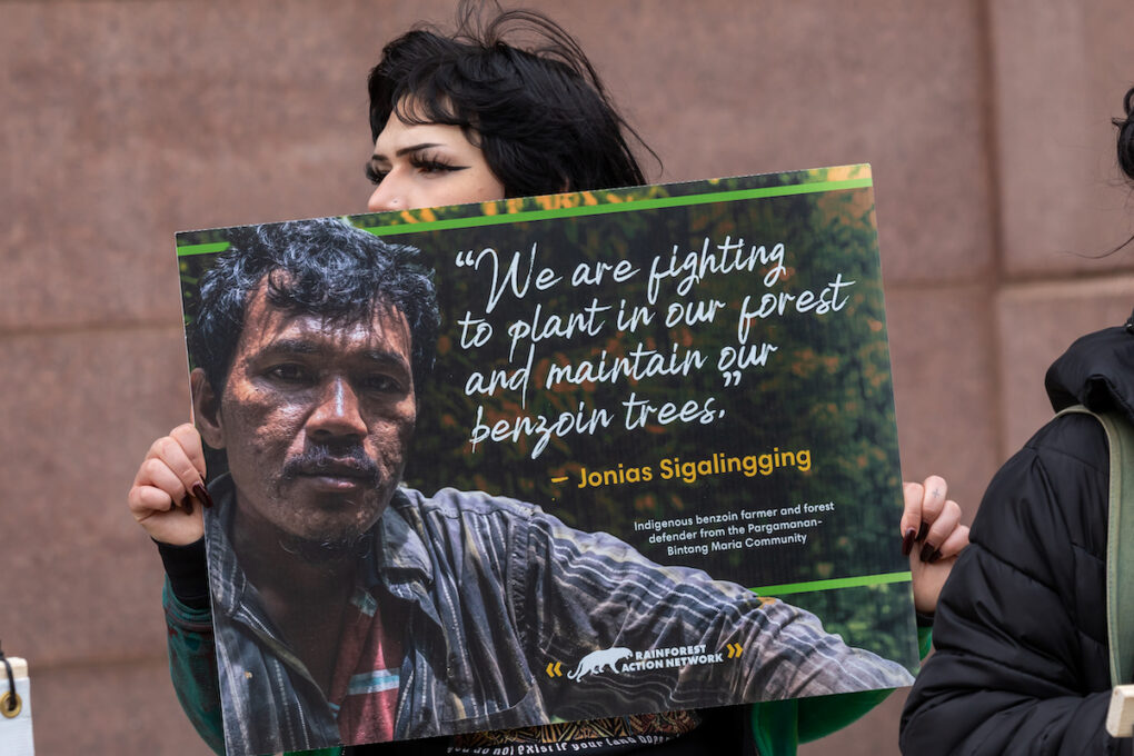 Cincinnati activist holds a sign featuring a quote from Indigenous benzoin farmer and forest defender from the Pargamanan-Bintang Maria community, Jonias Sigalingging, which reads, "We are fighting to plant in our forest and maintain our benzoin trees."