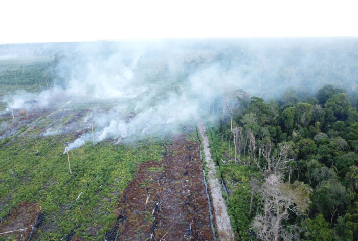 Aerial image of illegal clearing and burning of peat forests inside the Rawa Singkil Wildlife Reserve that were destroyed for Mr Mahmudin’s palm oil plantation. 