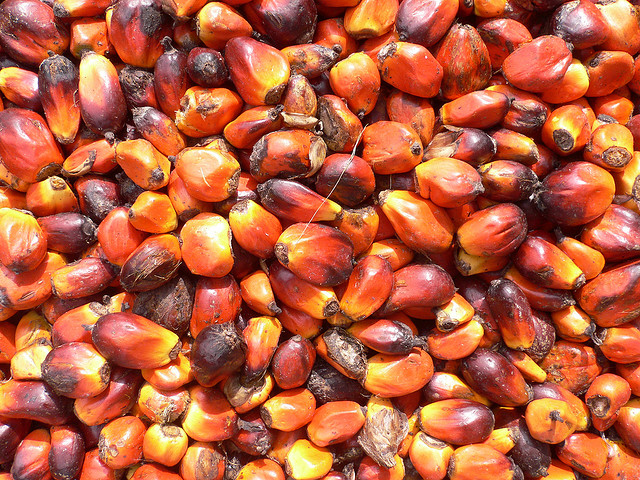 Palm nuts by Flickr user oneVillage Initiative