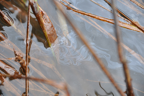Oil in Louisiana’s Bay Baptiste