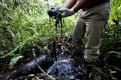 Chevron's toxic legacy in Ecuador