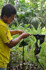 Oil pollution in the rainforest