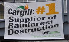 Cargill: Stop Sourcing Palm Oil from Sinar Mas!