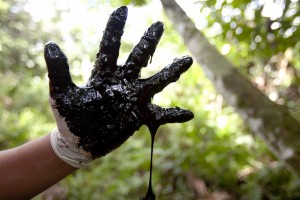 Chevron's oil in the Ecuadorean Amazon