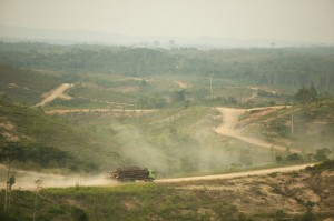 APP logging truck