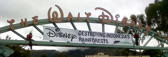 Disney: Destroying Indonesian Rainforests