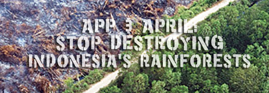 APP and APRIL: Stop destroying rainforests