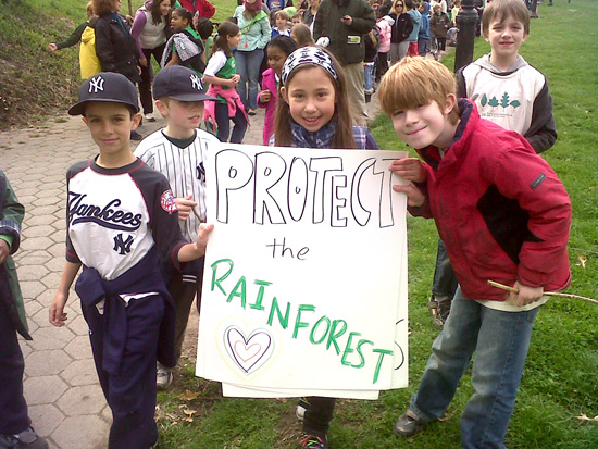 Protect the rainforest