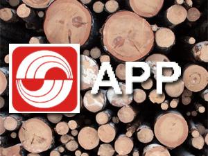 APP logo on logs