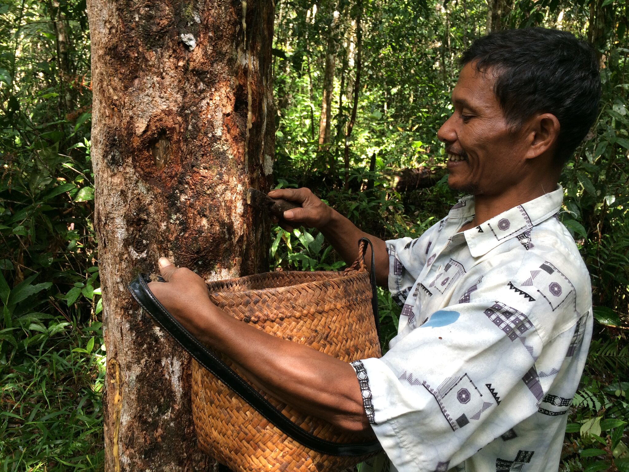 Community member farming in Pandumaan-Sipituhuta