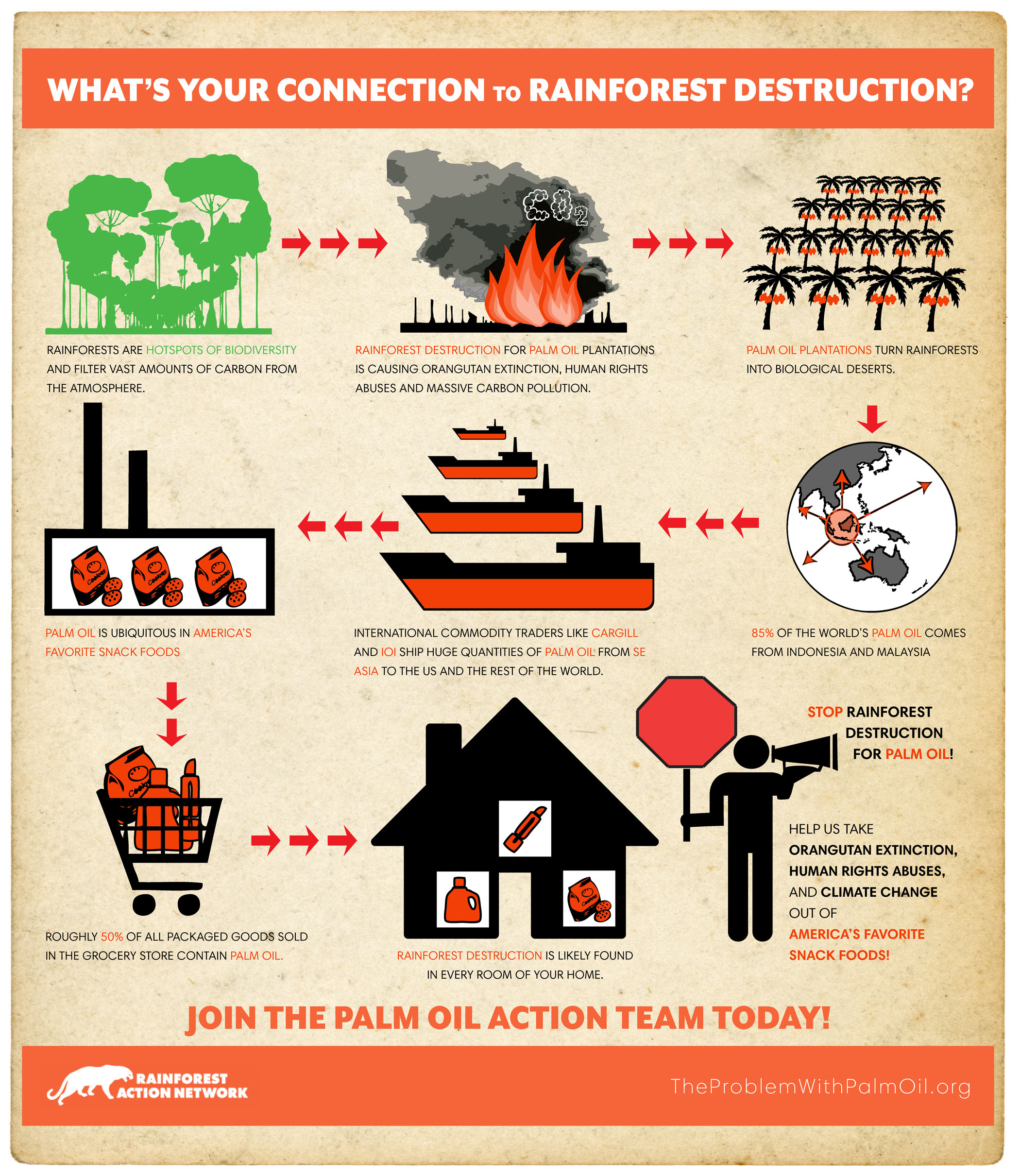 Conflict Palm Oil Supply Chain  Rainforest Action Network