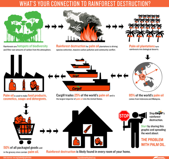 palm oil infographic