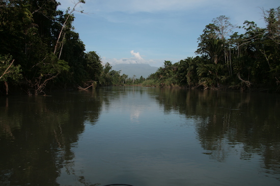 The people of Collingwood Bay rely on this crucial ecosystem. 