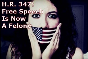 H.R. 347 would make free speech a felony