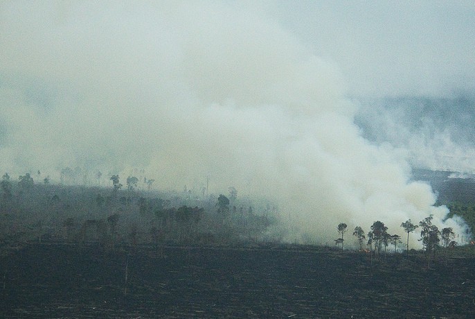 Tripa Peat Forest ablaze