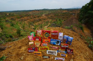 Products made by the Snack Food 20 are displayed in front of an area of recently cleared Rainforest in North Sumatra, Indonesia