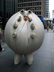 survivaball standing