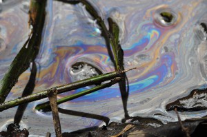 Oil residue floats on top of stream used for drinking and washing in Ecuador.