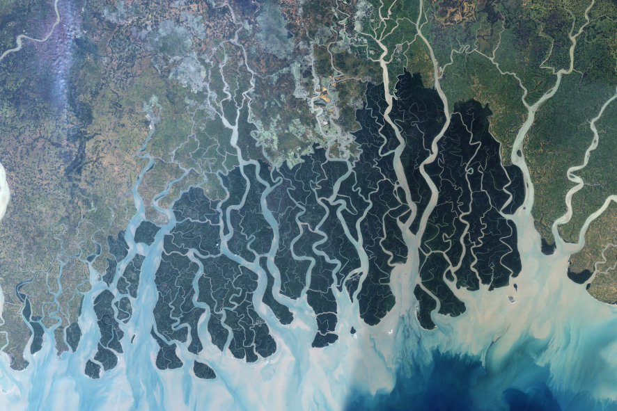 Sundarbans_from_space.png