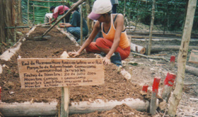 latin-american-permaculture-network-of-peru-redpal-peru-on-behalf-of-achual-sustainable-harvest-project-1