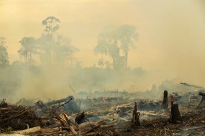 Forest burning in Borneo