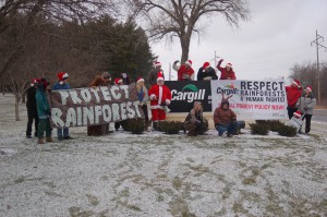 Protect Rainforests!!