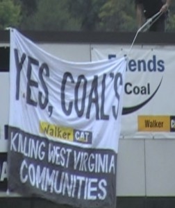 WALKER-CAT-BANNER
